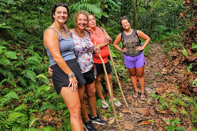 Mindfulness Rainforest Hike, Forest Bathing, Volcanic Hot Springs - The rainforest hike: rocks, roots, and a slower way to move