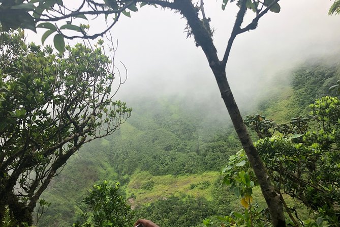 Mount Liamuiga Volcano Tours - Guides, Energy, and Why the Small Group Matters