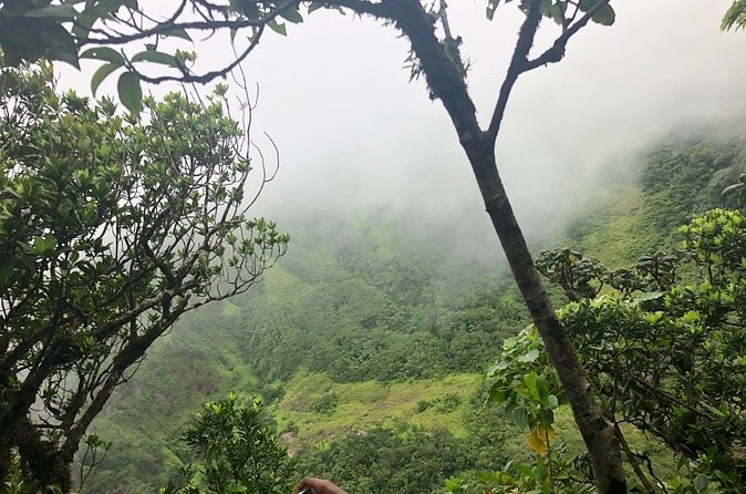 Mount Liamuiga Volcano Tours - Cancellations and Communication: The Part I’d Watch Closely