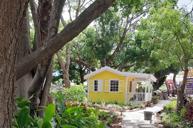 Nevis Hot Springs & Bath Village Heritage Experience - Who This Tour Fits Best (and Who Might Want Something Else)