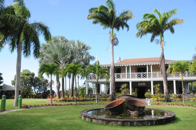 Nevis Island Half-Day Tour - Weather, Minimum Numbers, and the Cancellation Risk You Should Read