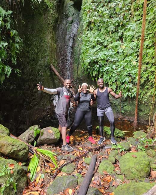 Nevis Waterfalls/Russel's Rest Hike - Pickup, coach ride, and your 3-hour on-the-ground rhythm