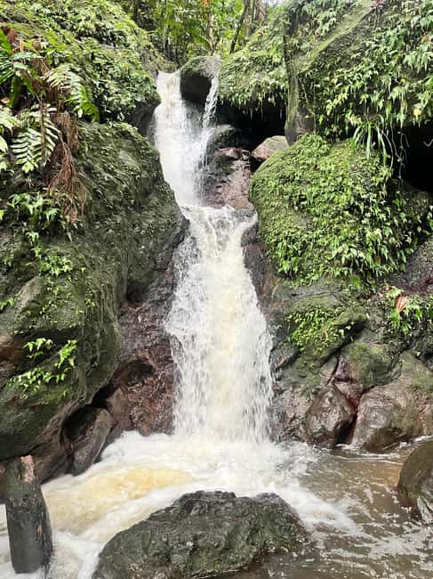 Nevis Waterfalls/Russel's Rest Hike - Price and value: what $130 buys for a guided forest hike