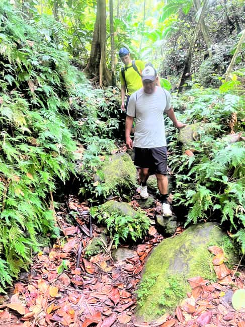 Nevis Waterfalls/Russel's Rest Hike - Who should book Russel’s Rest, and who should skip it