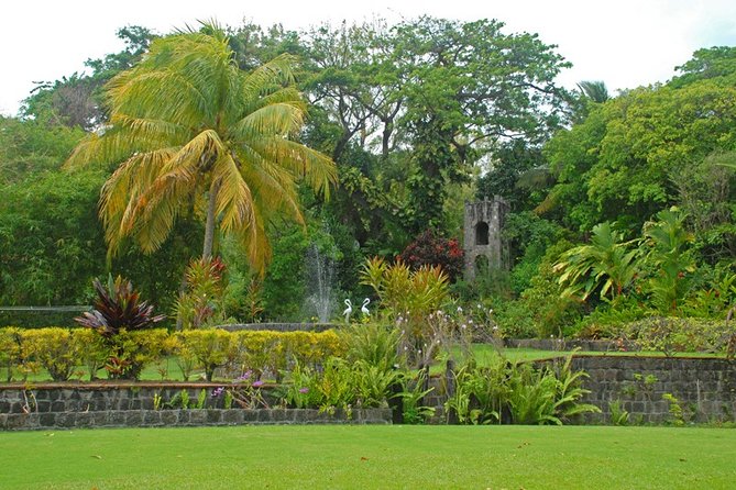 Panoramic Sightseeing Tour of St Kitts - Getting oriented in St Kitts, not just driving around