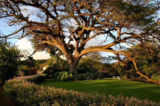 Panoramic Sightseeing Tour of St Kitts - Timothy Hill: Caribbean sea views, done quickly