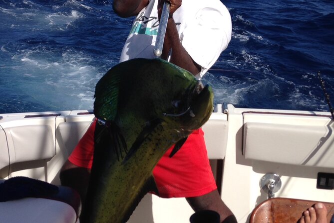 Private Fishing & Snorkel Charters in St Kitts and Nevis - Private Charter on MY DREAM: What You Are Really Paying For