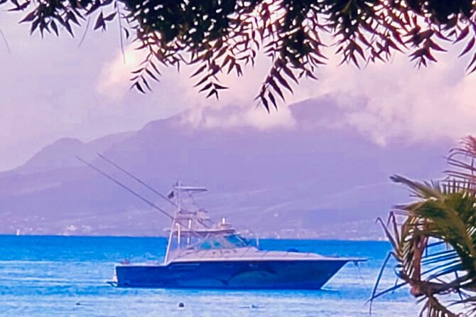 Private Fishing & Snorkel Charters in St Kitts and Nevis - Fishing Styles and Targets: From Trolling to Billfish