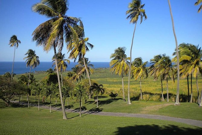 Private Tour in St. Kitts - Starting at Port Zante or your door: pickup that saves time