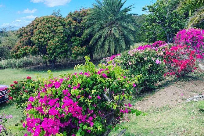 Private Tour in St. Kitts - Timothy Hill viewpoints: quick climbing for big perspective
