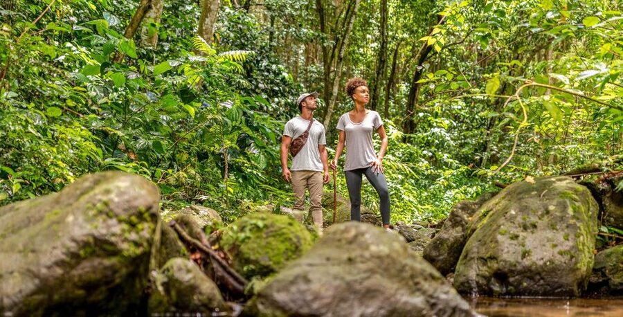 Rainforest Adventure - Key things I’d circle on your St. Kitts plan