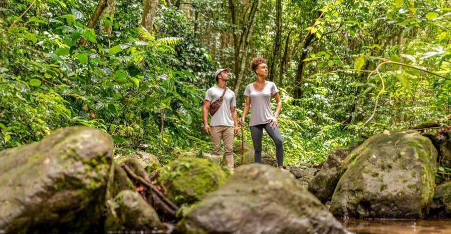 Rainforest Adventure - Sugar City Tours on St. Kitts, even if your trip says Nevis