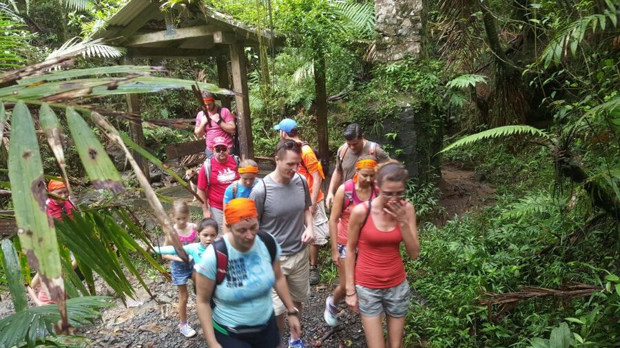 Rainforest Adventure - Old Road Town guided time: plantation roots to rainforest canopy