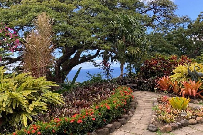 Rosevelt's Special Best of St. Kitts/Panoramic Tour - Basseterre drive: churches, monuments, and quick city context