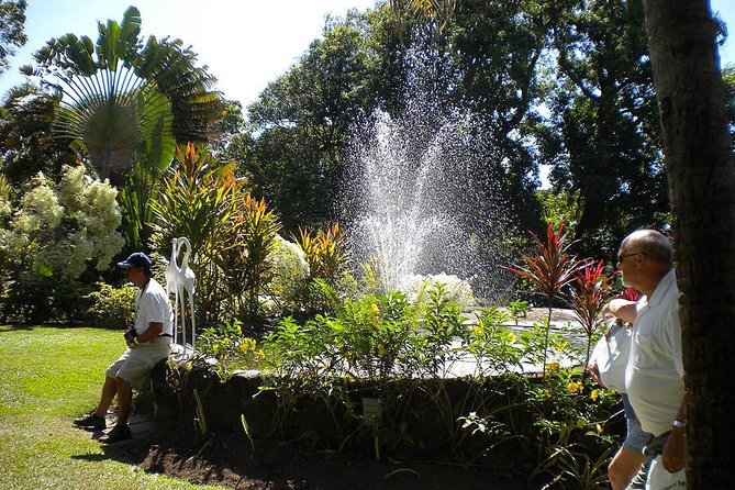 Rosevelt's Special Best of St. Kitts/Panoramic Tour - Price and value: what $67 buys, plus the real extras