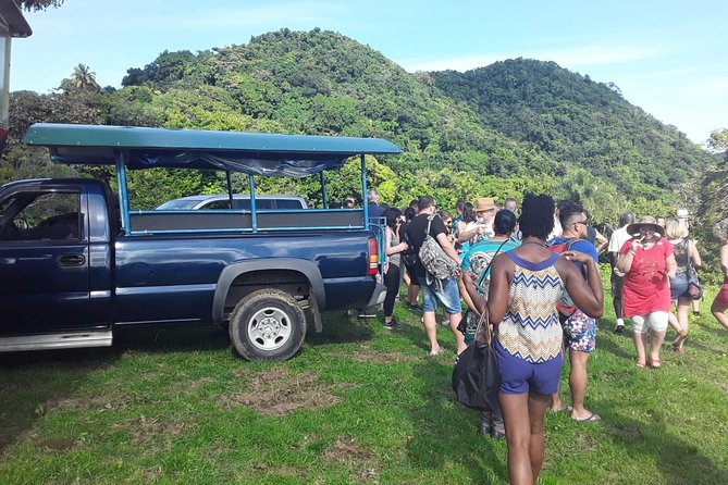 Safari Extravaganza - Key things to know before you go