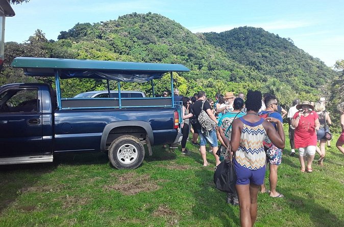 Safari Extravaganza - The “small stops” that make the drive feel worth it