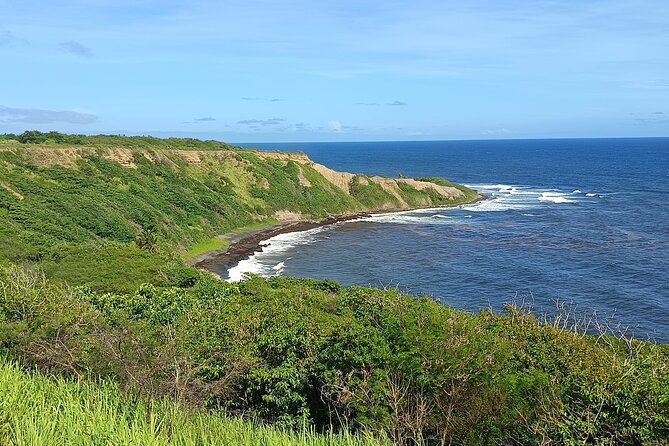 Saint Kitts Train Trek - The On-Board Vibe: Live Guide Commentary and Party-Like Energy