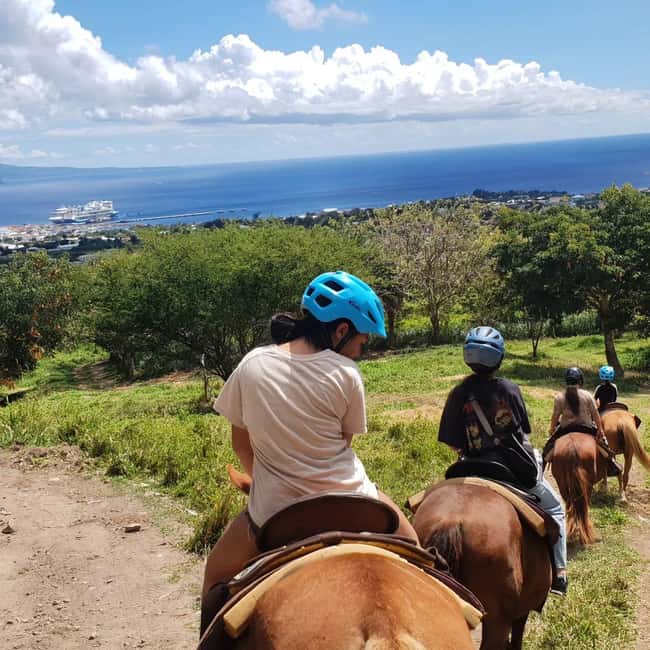 Scenic Horseback Trail - Port Zante pickup to the first big views around Basseterre