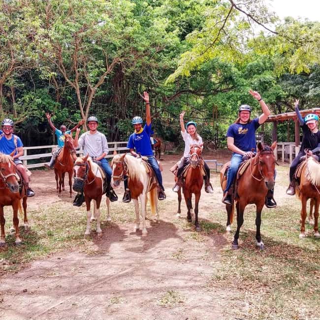 Scenic Horseback Trail - Fruit-hill walk and the living plants you’ll actually notice