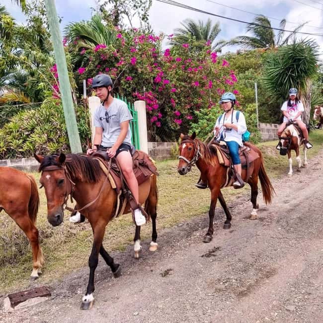 Scenic Horseback Trail - Price and value for 110 USD, plus what you get with it
