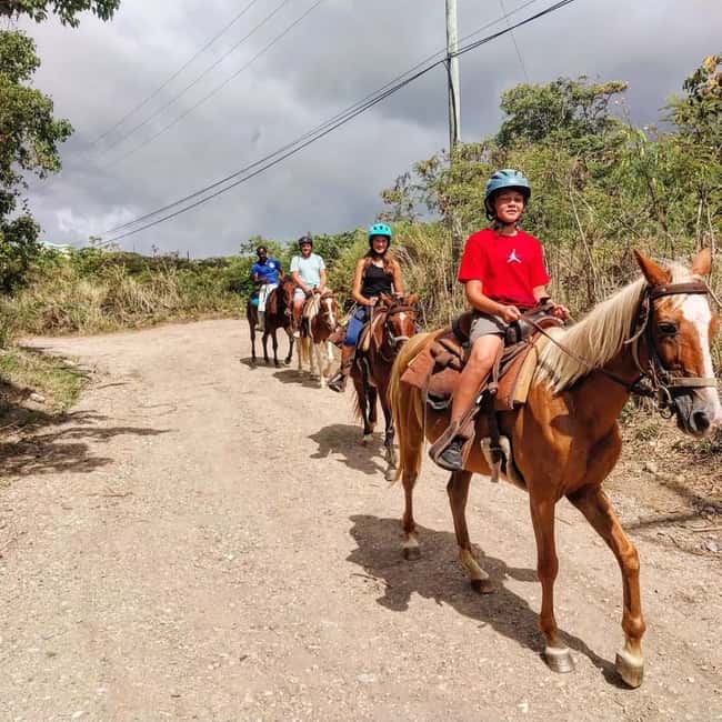 Scenic Horseback Trail - Basseterre sightseeing plus horse time: where the ride turns scenic