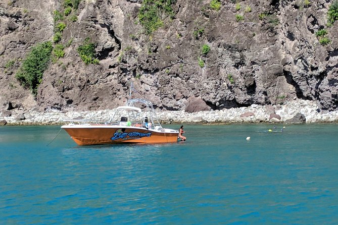 Scenic Speed-Boat Snorkel Tour - Your Shitten Bay snorkel stop: turtles, stingrays, reef fish, and a shipwreck