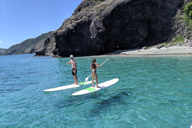 Scenic Stand-up Paddleboarding Adventure Tour - Cruising the volcanic coast: what the 2 hours really delivers