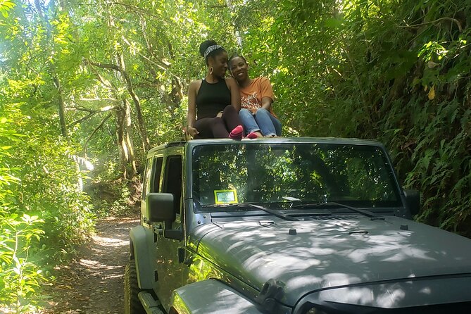 Self Drive 4x4 Off Road Jeep Wrangler & Beach Chill - Stop 1: St Kitts Viewpoints Over Basseterre, Plus Wildlife and Fruit Trees