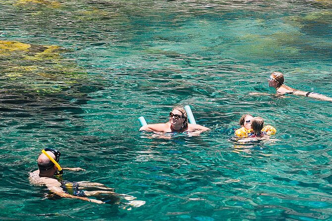 Snorkel Lunch & Lounge: Bluewater or Snorkel and Lunch: Leeward - Snorkeling at Shittens Bay: gear, help, and what to look for
