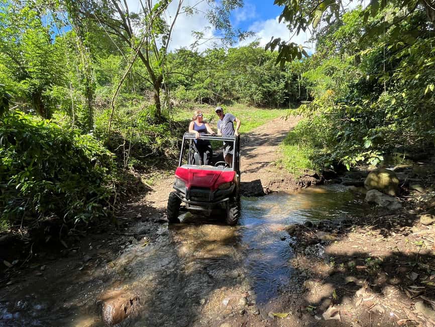 St. Kitts:Countryside Dune Buggy Tour - Adrenaline with a guide who stays involved