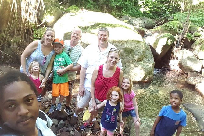 St Kitts Half-Day Rainforest Tour - Who this tour is best for, and who might want a different plan