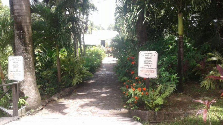 St. Kitts Island Half-Day Bus Tour - Brimstone Hill Fortress: Views Plus the Layers of St. Kitts