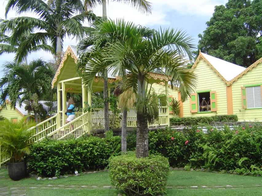 St. Kitts Island Half-Day Bus Tour - The 10:00 Departure, Pickup Options, and Where to Meet