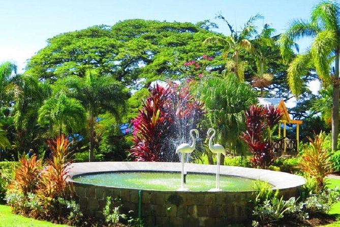 St Kitts Island Tour (Reconfirm Ship or Hotel) - Basseterre and the old slave market area: history you can see