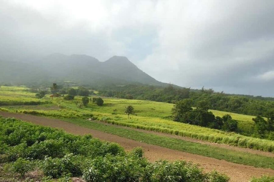 St Kitts: Jungle Bikes Off-Road ATV Tour - Key highlights worth your attention