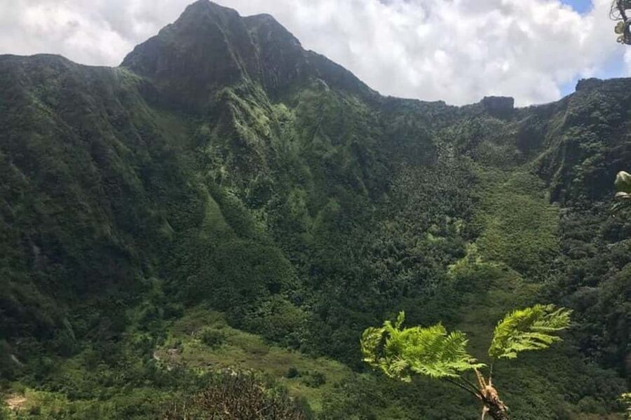 St Kitts: Jungle Bikes Off-Road ATV Tour - Pickup that keeps you from wasting tour time
