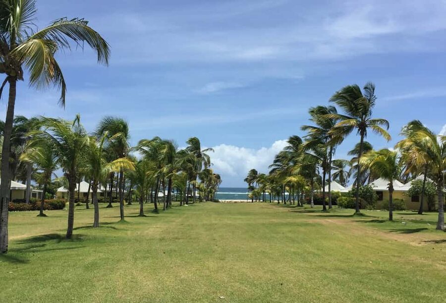 St. Kitts: Nevis Island Tour and Beach Time with Lunch - Crossing to Nevis on a speed-first catamaran