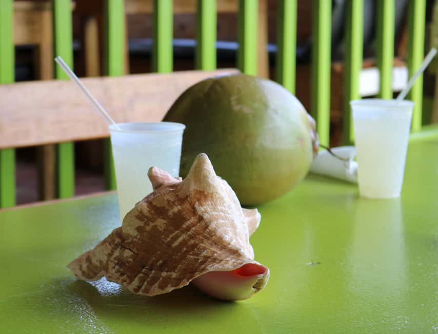 St. Kitts: Nevis Island Tour and Beach Time with Lunch - Charlestown to panoramic views in an air-conditioned small-group van