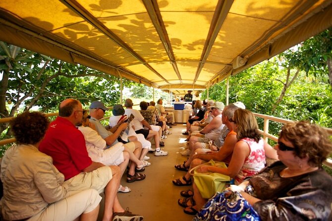 St. Kitts Scenic Train Experience - Choosing upstairs vs downstairs: open-air breeze and AC comfort