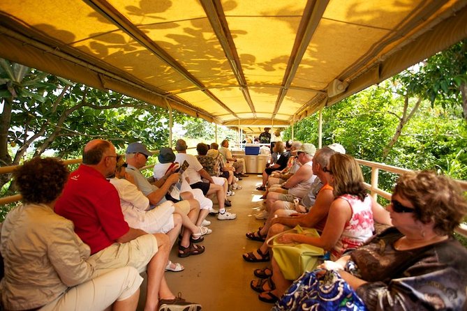 St Kitts Scenic Train Tour (Hotel or Ship) - Pickup, timing, and how the day really moves