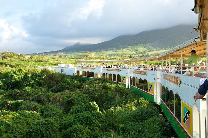 St Kitts Scenic Train Tour (Hotel or Ship) - Drinks on the train: included cocktails, bar service vibe, and pacing