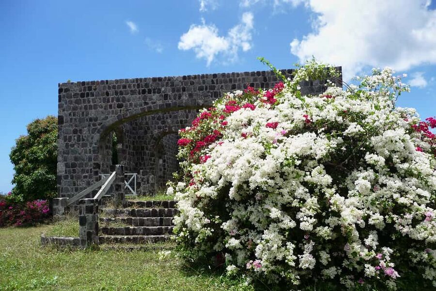 St. Kitts: Top Sights Guided Van or Open-Air Safari Tour - Basseterre First, Then Straight Toward the East