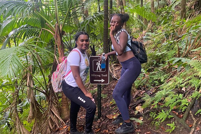 St.Kitts Volcano Hike To Mt. Liamuiga (Highest Peak On Island) - Getting there: pickup, mobile tickets, and small-vehicle reality
