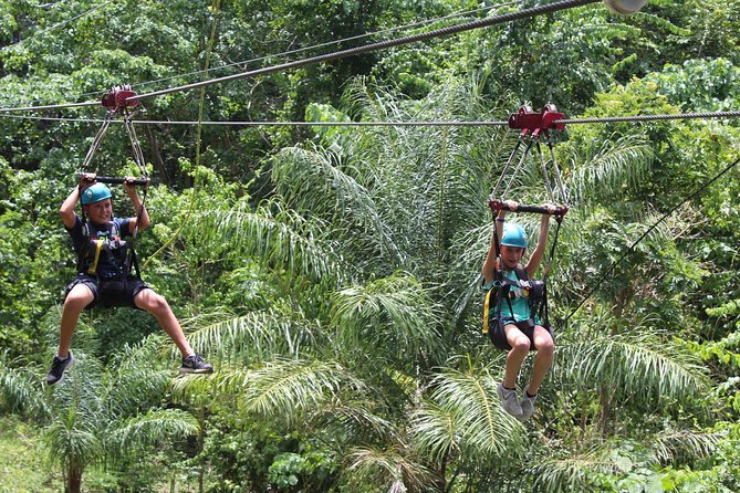 St. Kitts Zipline Experience - Key Highlights to Know Before You Go