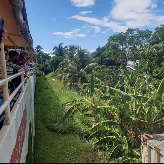 Sugar Train Tour & Drinks|Pick-Up &Drop Off From Cruise Port - Key things to know before you go