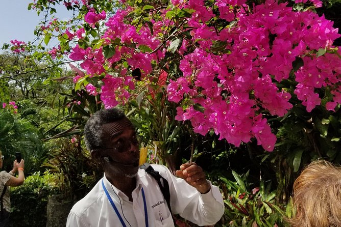 The Grand Tour of St. Kitts - Price and value: what $75 buys you in real terms