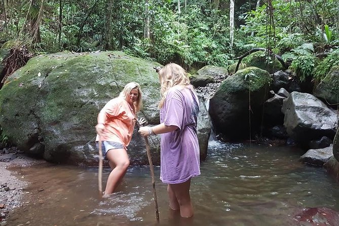 Tropical Rain Forest Explorer Hike In St. Kitts - Old Road Town start, and how the half-day format works for your day
