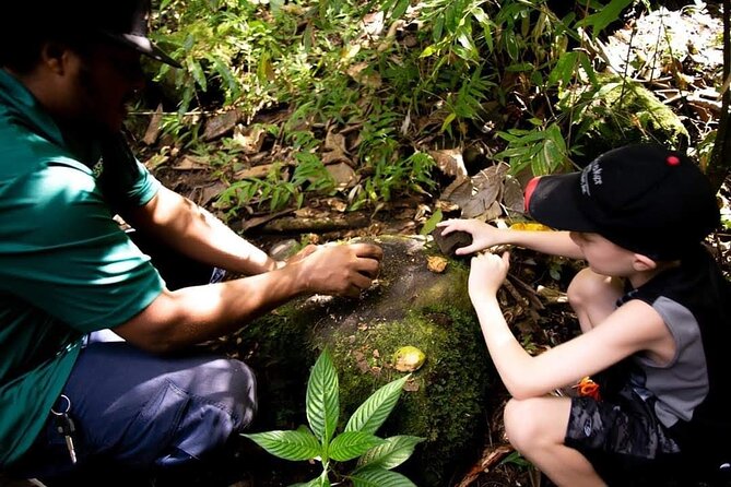 Tropical Rain Forest Explorer Hike In St. Kitts - Free slaves, land ownership, and why local history fits the setting