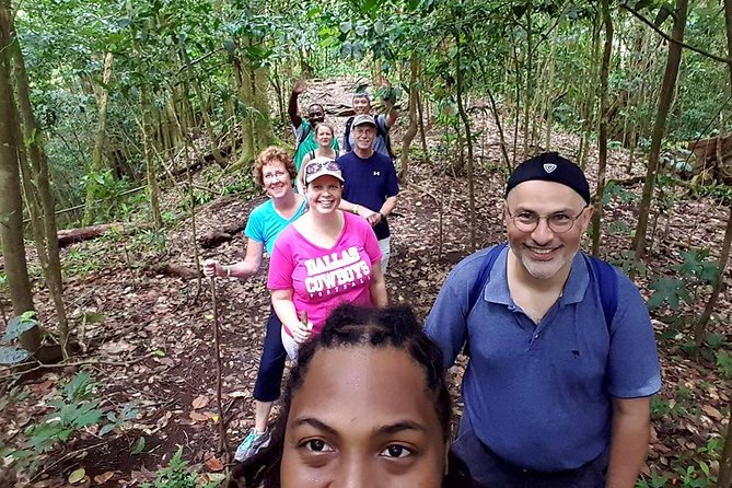 Tropical Rain Forest Explorer Hike In St. Kitts - Pickup and small-group logistics that make the hike feel easier